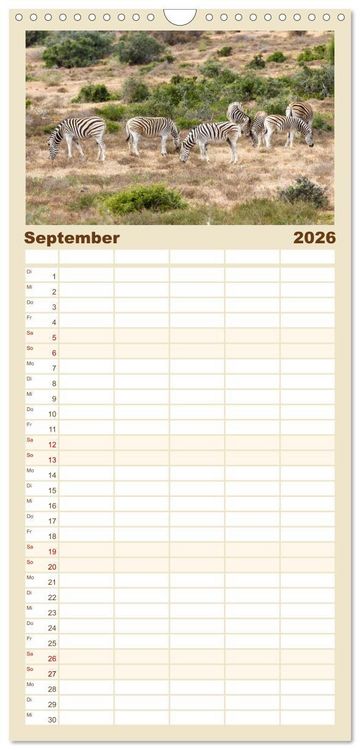 Produktbild: Familienplaner 2026 - S&uuml;dafrika - Garden Route mit 5 Spalten (Wandkalender, 21 x 45 cm) CALVENDO