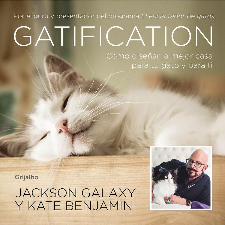 Produktbild: Benjamin, K: Gatification : c&oacute;mo dise&ntilde;ar la mejor casa para
