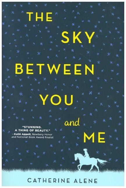Produktbild: The Sky Between You and Me