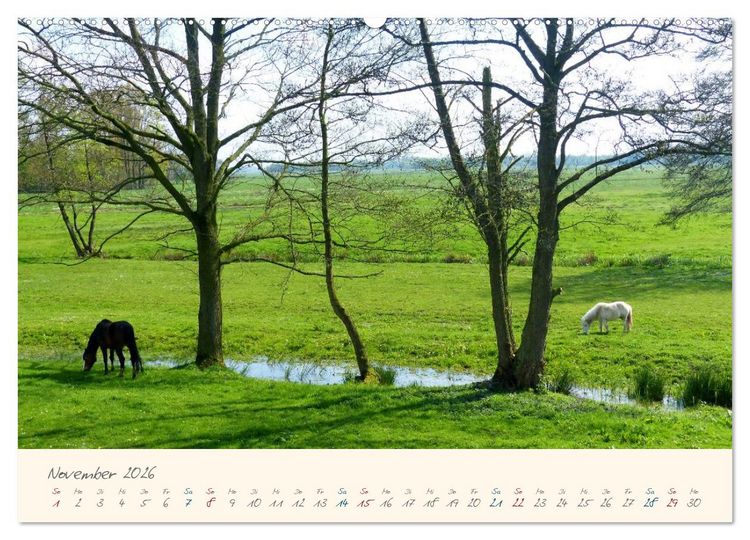 Produktbild: Bremer Blockland - Landleben in der Gro&szlig;stadt (Wandkalender 2026 DIN A2 quer), CALVENDO Monatskalender