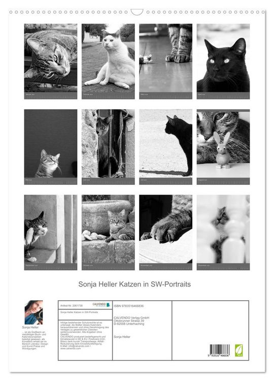 Produktbild: Sonja Heller Katzen in SW-Portraits (Wandkalender 2026 DIN A2 hoch), CALVENDO Monatskalender