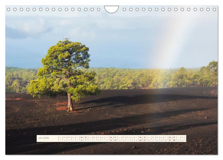 Produktbild: La Magie de T&eacute;n&eacute;riffe (Calendrier mural 2026 DIN A4 vertical), CALVENDO calendrier mensuel