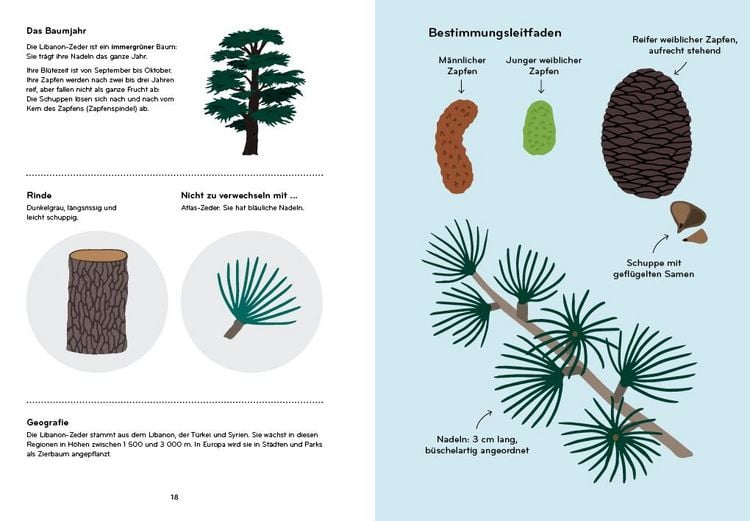 Produktbild: Arborama