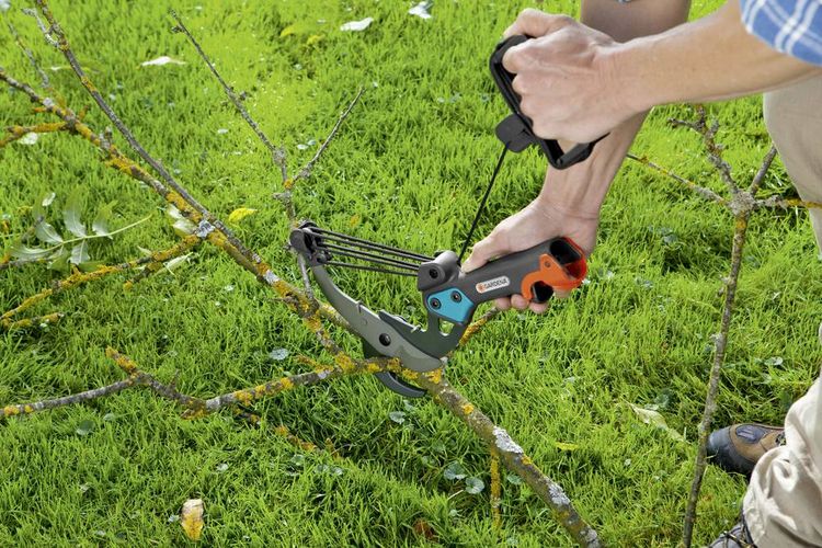 Produktbild: GARDENA combisystem 00297-20 Baumschere Anvil Secateurs