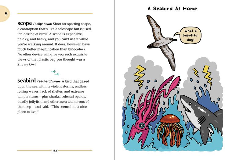 Produktbild: The Birding Dictionary