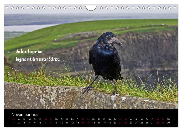 Produktbild: Irland - Irische Segensw&uuml;nsche (Wandkalender 2026 DIN A4 quer), CALVENDO Monatskalender