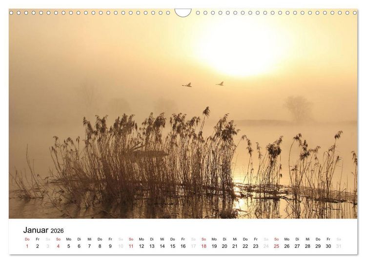Produktbild: Morgenstimmungen 2026 (Wandkalender 2026 DIN A3 quer), CALVENDO Monatskalender