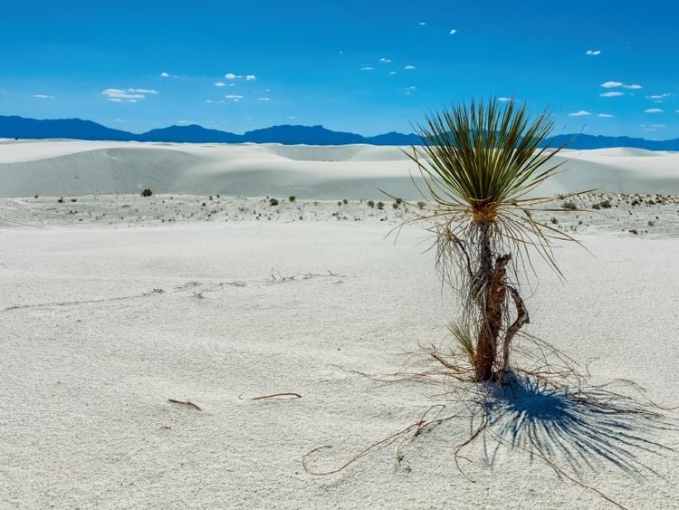 Produktbild: White Sands National Monument, New Mexiko (Puzzle)
