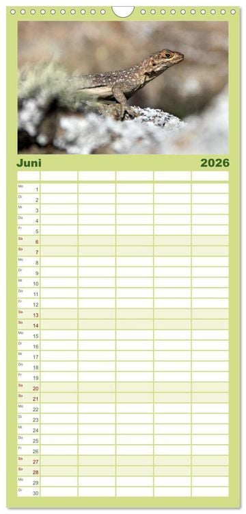 Produktbild: Familienplaner 2026 - Tiere Madagaskars mit 5 Spalten (Wandkalender, 21 x 45 cm) CALVENDO