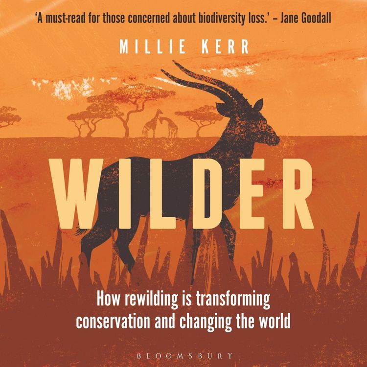 Produktbild: Wilder