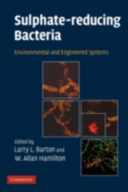 Produktbild: Sulphate-Reducing Bacteria