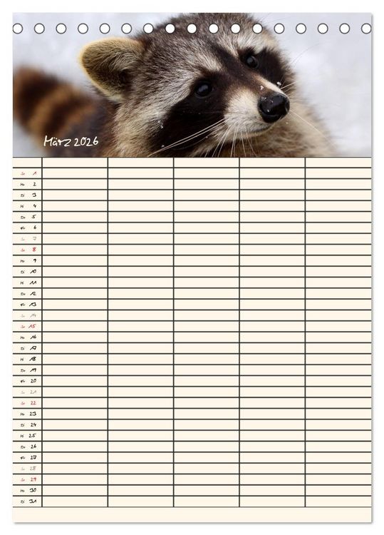 Produktbild: Waschb&auml;ren Familienplaner (Tischkalender 2026 DIN A5 hoch), CALVENDO Monatskalender