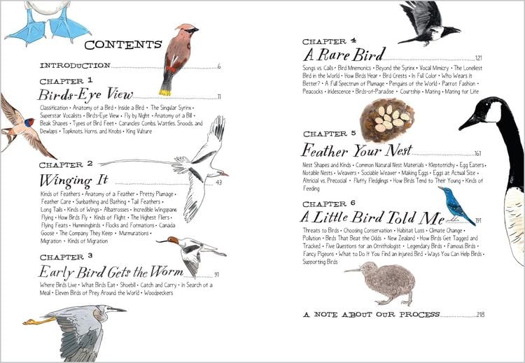 Produktbild: Bird Anatomy