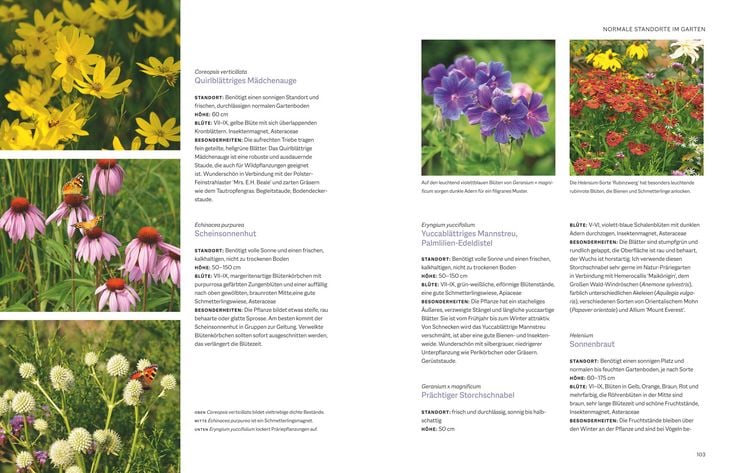 Produktbild: Natur-Pr&auml;rieg&auml;rten