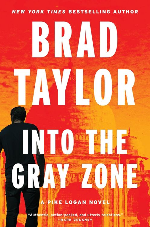 Produktbild: Into the Gray Zone