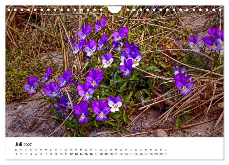 Produktbild: D&uuml;nenmomente - Ein Tag in den D&uuml;nen Nordj&uuml;tlands (Wandkalender 2027 DIN A4 quer), CALVENDO Monatskalender
