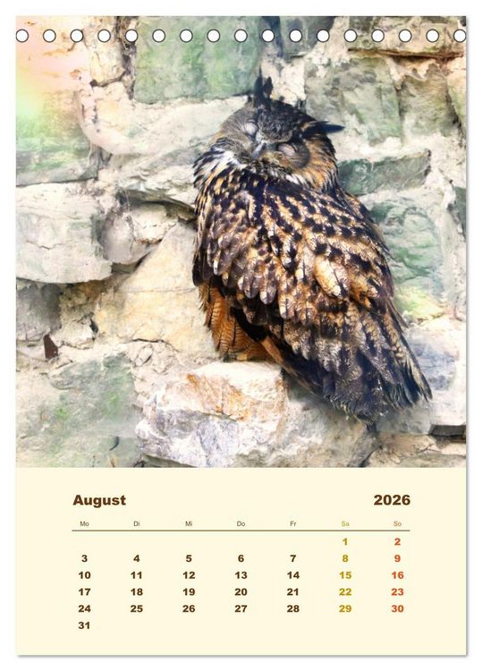 Produktbild: Uhu, die Faszination bernsteinfarbener Augen (Tischkalender 2026 DIN A5 hoch), CALVENDO Monatskalender