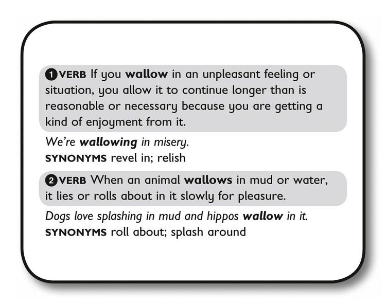 Produktbild: 11+ Vocabulary Flashcards