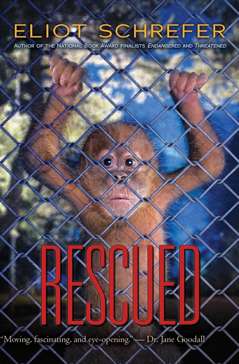 Produktbild: Rescued