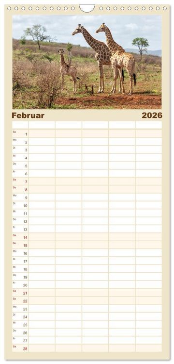 Produktbild: Familienplaner 2026 - S&uuml;dafrika wunderbare Tierwelt mit 5 Spalten (Wandkalender, 21 x 45 cm) CALVENDO