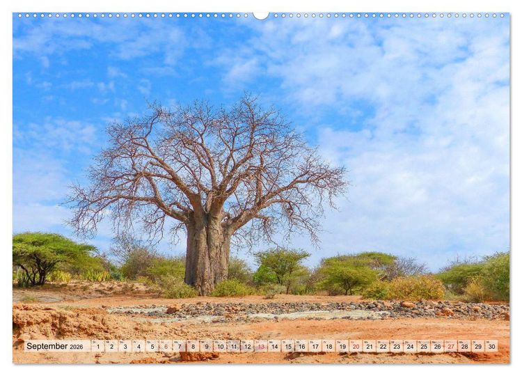 Produktbild: Tansania. Impressionen aus Ostafrika (hochwertiger Premium Wandkalender 2026 DIN A2 quer), Kunstdruck in Hochglanz
