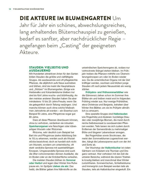 Produktbild: Das gro&szlig;e Buch der Stauden und Sommerblumen