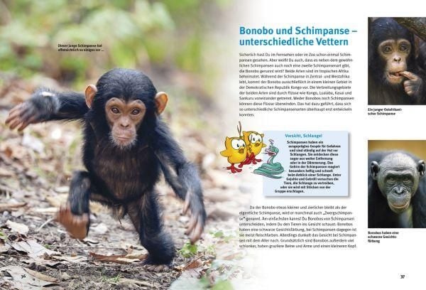 Produktbild: Entdecke die Menschenaffen