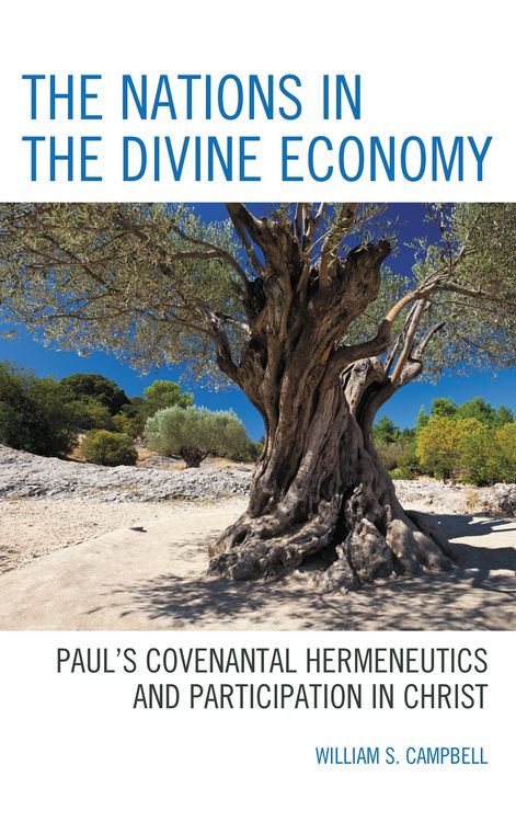 Produktbild: The Nations in the Divine Economy