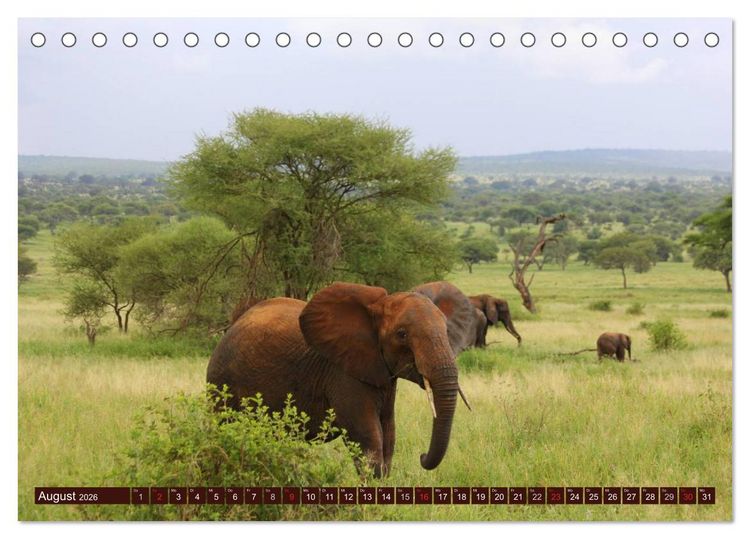 Produktbild: Afrika. Zauber des schwarzen Kontinents (Tischkalender 2026 DIN A5 quer), CALVENDO Monatskalender