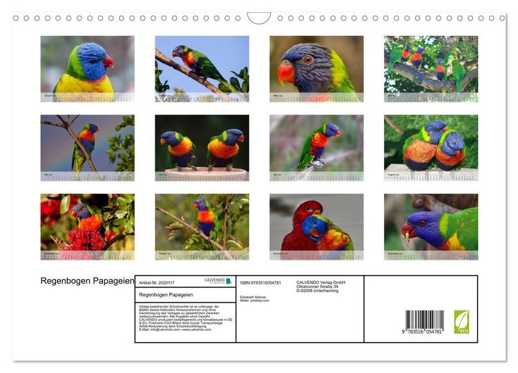 Produktbild: Regenbogen Papageien (Wandkalender 2026 DIN A3 quer), CALVENDO Monatskalender