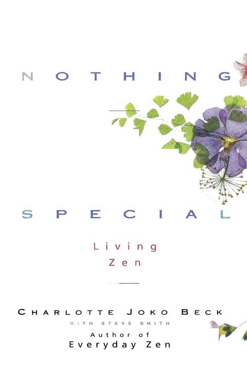 Produktbild: Nothing Special