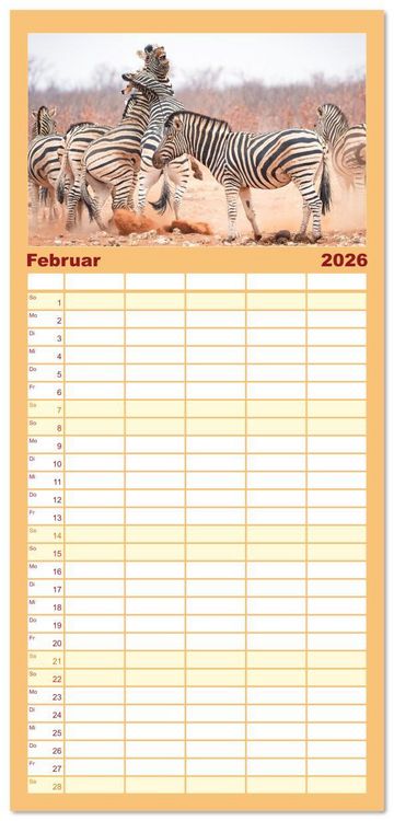 Produktbild: Familienplaner 2026 - Action in der Savanne mit 5 Spalten (Wandkalender, 21 x 45 cm) CALVENDO