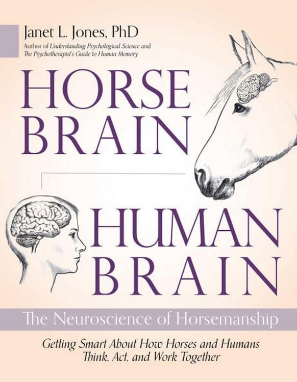 Produktbild: Horse Brain, Human Brain