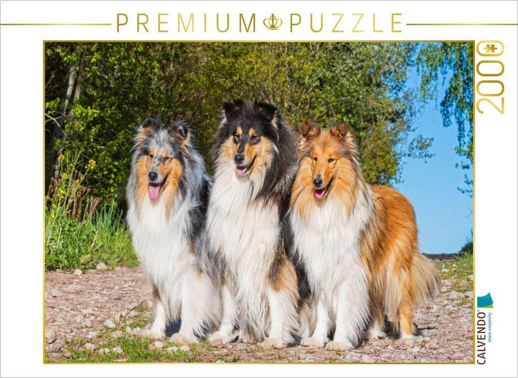 Produktbild: CALVENDO Puzzle Die drei anerkannten Colliefarben | 2000 Teile Lege-Gr&ouml;&szlig;e 90x67cm Foto-Puzzle f&uuml;r gl&uuml;ckliche Stunden