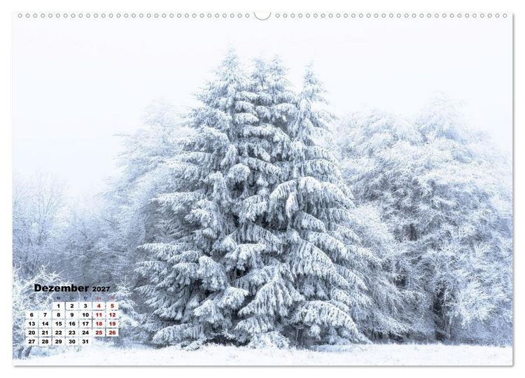 Produktbild: Waldspazierg&auml;nge: Entspannen - Kraft tanken - Besinnen auf sich selbst (Wandkalender 2027 DIN A2 quer), CALVENDO Monatskalender