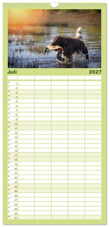 Produktbild: Familienplaner 2027 - Jagdhund im Portrait - Deutsch Langhaar mit 5 Spalten (Wandkalender, 21 x 45 cm) CALVENDO