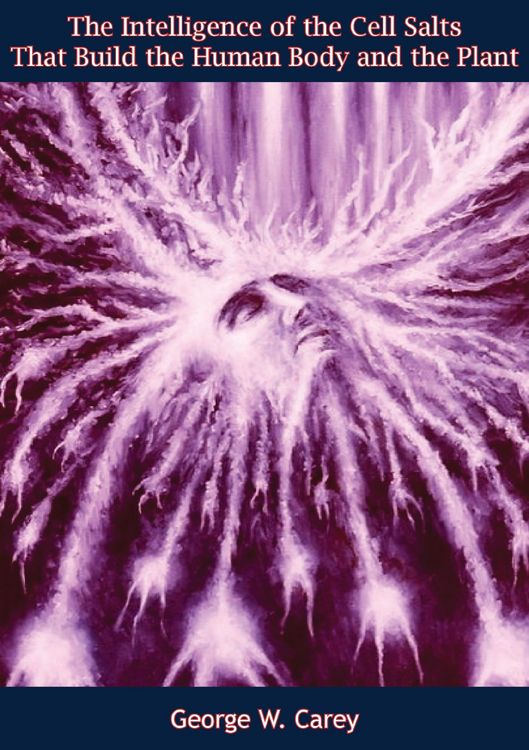 Produktbild: Intelligence of the Cell Salts That Build the Human Body and the Plant