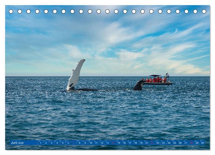 Produktbild: KANADA - Der maritime Osten (Tischkalender 2026 DIN A5 quer), CALVENDO Monatskalender