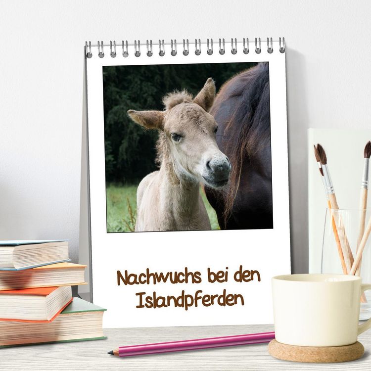 Produktbild: Nachwuchs bei den Islandpferden (Tischkalender 2026 DIN A5 hoch), CALVENDO Monatskalender