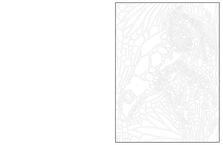 Produktbild: Ausmalen und Entdecken
