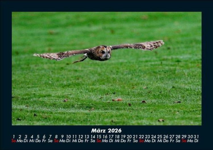 Produktbild: Der Tierkalender 2026 Fotokalender DIN A5