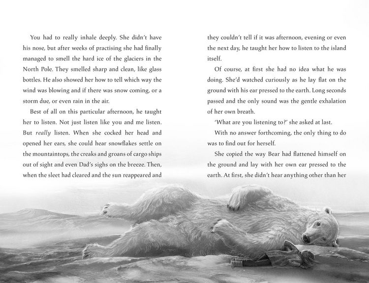 Produktbild: The Last Bear