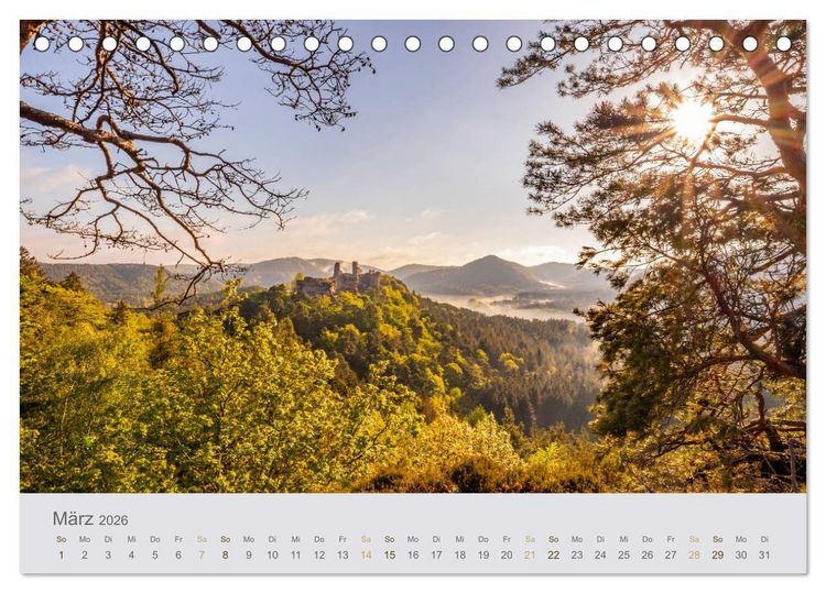Produktbild: Augenblicke im Pf&auml;lzerwald (Tischkalender 2026 DIN A5 quer), CALVENDO Monatskalender