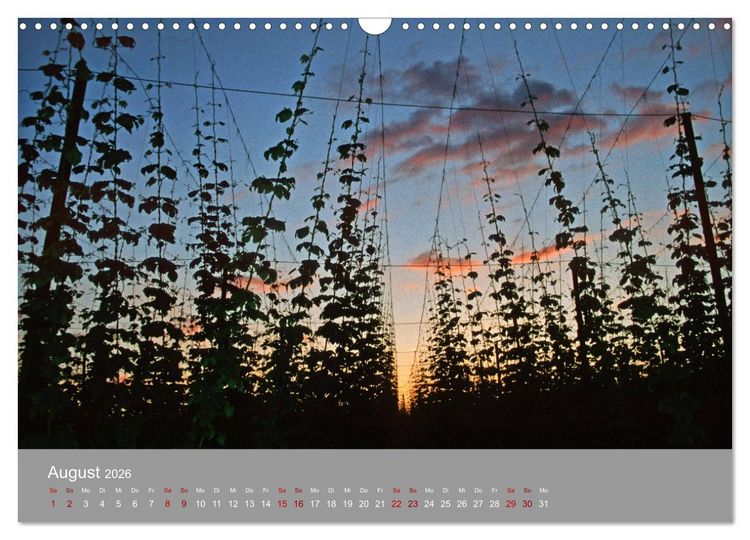 Produktbild: Hallertau (Wandkalender 2026 DIN A3 quer), CALVENDO Monatskalender