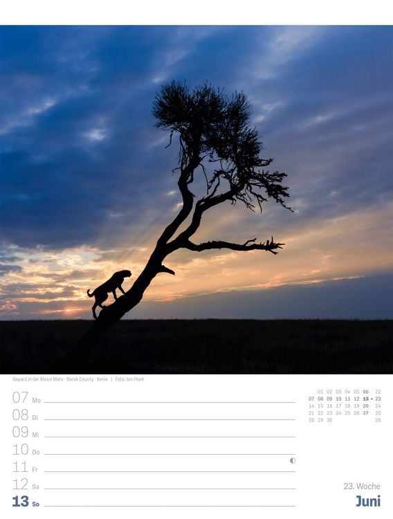Produktbild: Planet Erde Wochenplaner Kalender 2027 | Landschaften der Welt