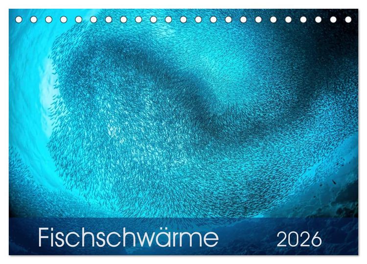Produktbild: Fischschw&auml;rme (Tischkalender 2026 DIN A5 quer), CALVENDO Monatskalender
