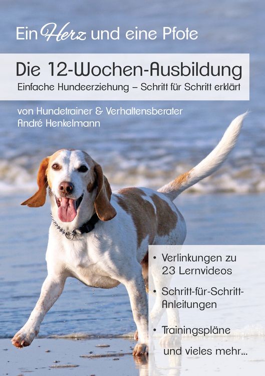 Produktbild: Die 12-Wochen-Ausbildung