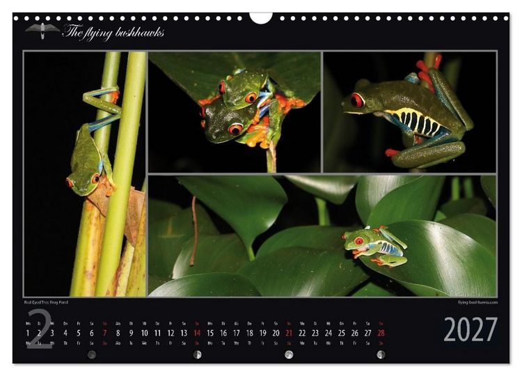 Produktbild: Costa Rica Blickwinkel 2027 (Wandkalender 2027 DIN A3 quer), CALVENDO Monatskalender