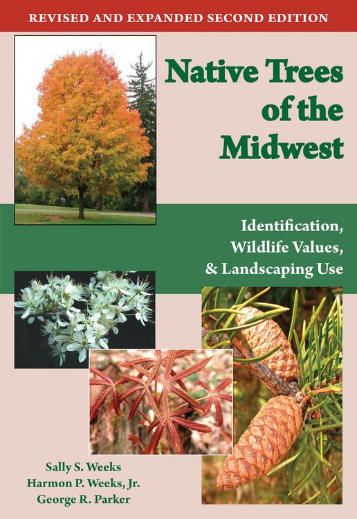 Produktbild: Native Trees of the Midwest