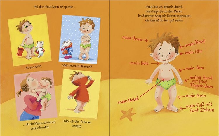 Produktbild: Ohren, Nase, Bauch - das hab ich auch!